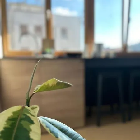 531- Pedestrian Zone Apartman Belgrade